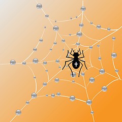 Image showing Spider and web