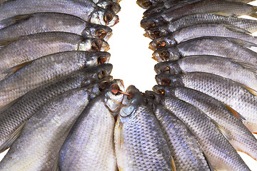 Image showing Salted and dried river fish on a white background.