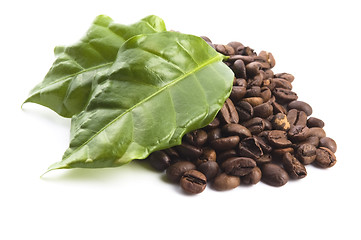 Image showing coffee grains and leaves