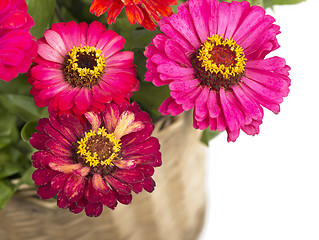 Image showing Beautiful flowers in a basket isolated on white