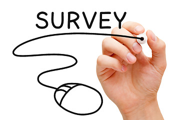 Image showing Online Survey Concept