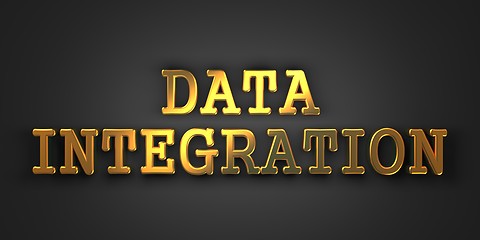 Image showing Data Integration. Information Concept.