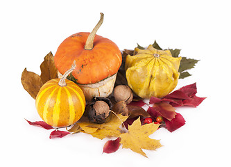 Image showing poppy pie, autumn leaves and pumpkins