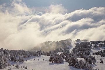 Image showing Skiing