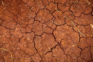 Image showing Dry Soil