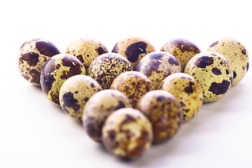 Image showing Quail eggs