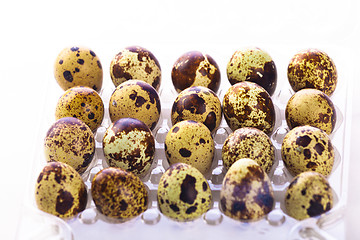 Image showing Quail eggs