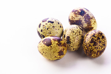 Image showing Quail eggs