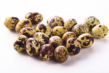 Image showing Quail eggs