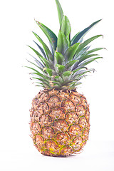 Image showing pineapple