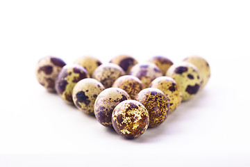 Image showing Quail eggs