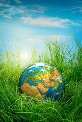 Image showing Concept - Earth Day