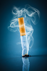 Image showing Cigarette butt - No smoking.