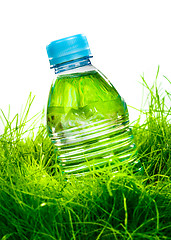 Image showing Water bottle on the grass