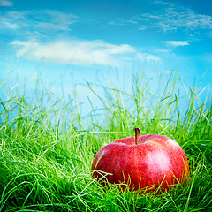 Image showing Apple on the grass