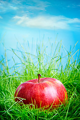 Image showing Apple on the grass