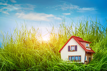 Image showing House on the green grass