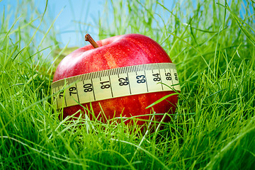 Image showing apple and measuring tape