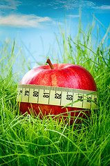 Image showing apple and measuring tape