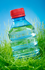 Image showing Water bottle on the grass