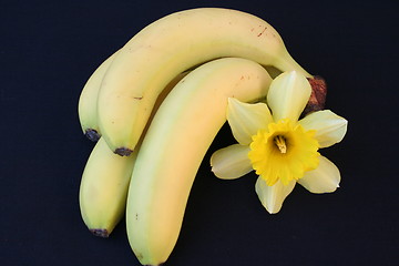 Image showing Bananas on black