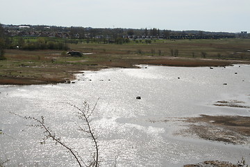 Image showing Sea meadows