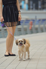 Image showing happy young woman with puppy have fun