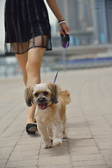 Image showing happy young woman with puppy have fun