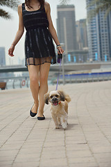 Image showing happy young woman with puppy have fun