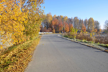 Image showing Golden autumn and road...