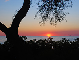 Image showing Sunset in Primosten, Croatia