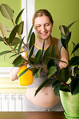 Image showing Cute Pregnant Woman On Kitchen