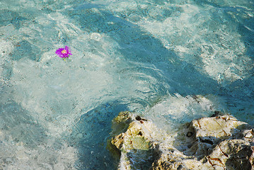 Image showing Clean water. Croatia