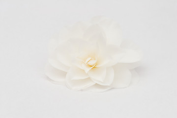 Image showing White flower 1