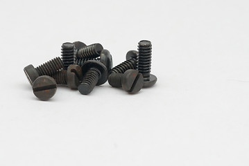Image showing Rusted Screws