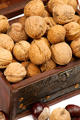 Image showing Chest With Walnuts 