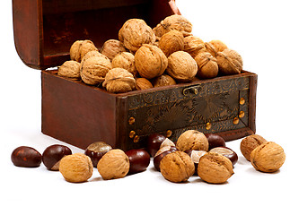 Image showing Chest With Walnuts 