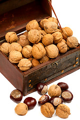 Image showing Chest With Walnuts 