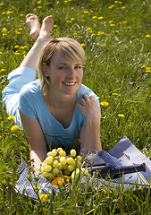 Image showing picnic