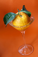 Image showing Orange Cocktail