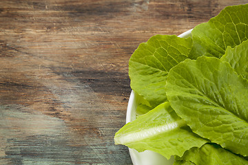 Image showing romaine or cos lettuce