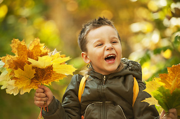 Image showing autumn baby boy