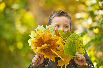 Image showing autumn baby boy