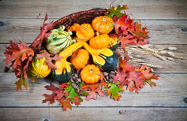 Image showing Pumpkins and Gourds