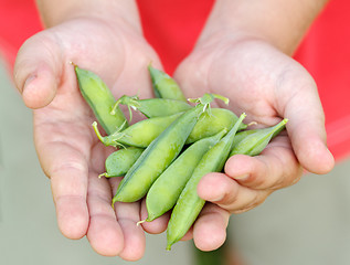 Image showing teenager man hand holding peas