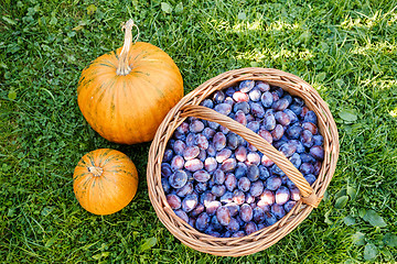 Image showing ripe plums in basket