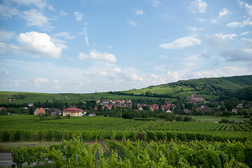 Image showing Alsace landscape and vinewyard