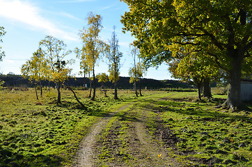 Image showing Rural tracks