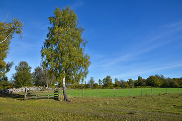 Image showing Rural autumn view