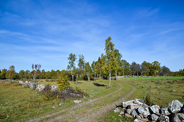 Image showing Autumn landscape